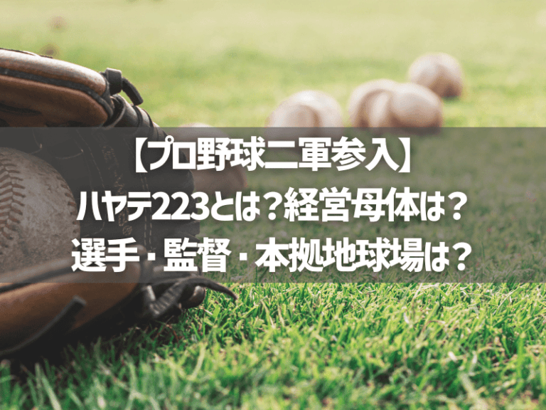 【プロ野球二軍参入】ハヤテ223とは？親会社は？選手・監督・本拠地球場は？ | AkitaMogul